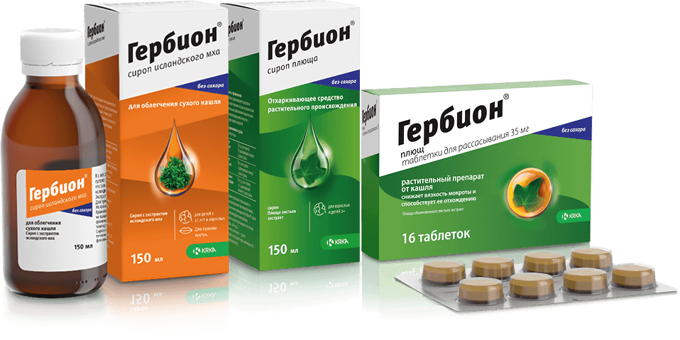 Как лечить кашель: 6 эффективных способов | thebestterrier.ru